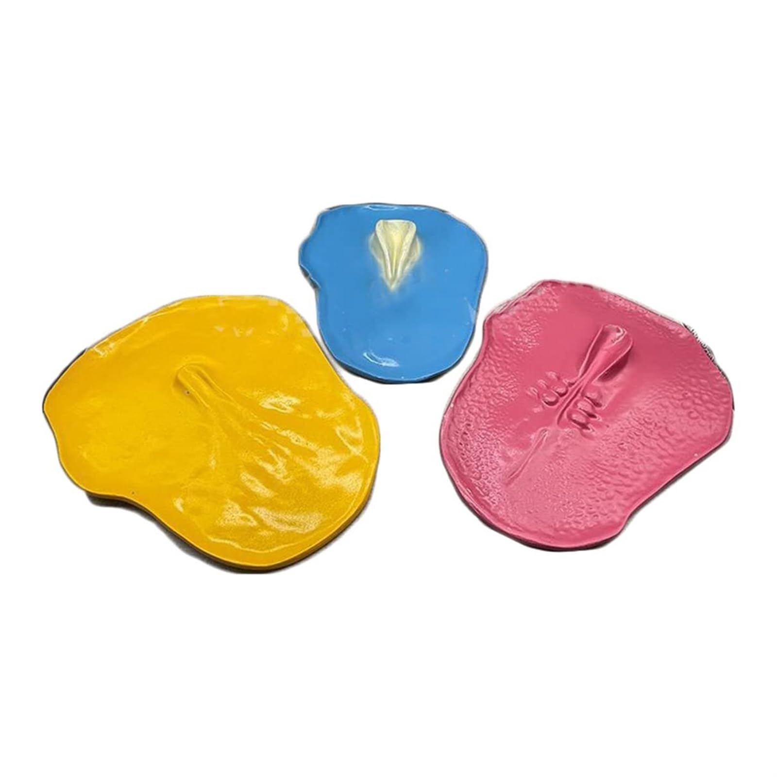 VERIMP Three Germ Layers Model Biology Teaching ModelTissue Embryo Model Tri-Embryonic Model Biological Teaching Anatomical Models for Doctor-Patient Communication Teaching Tool