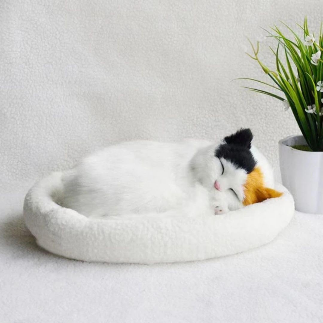 Amazon.co.jp: [AiO JAPAN] インテリア クッションで寝る猫 ミケ ネコ