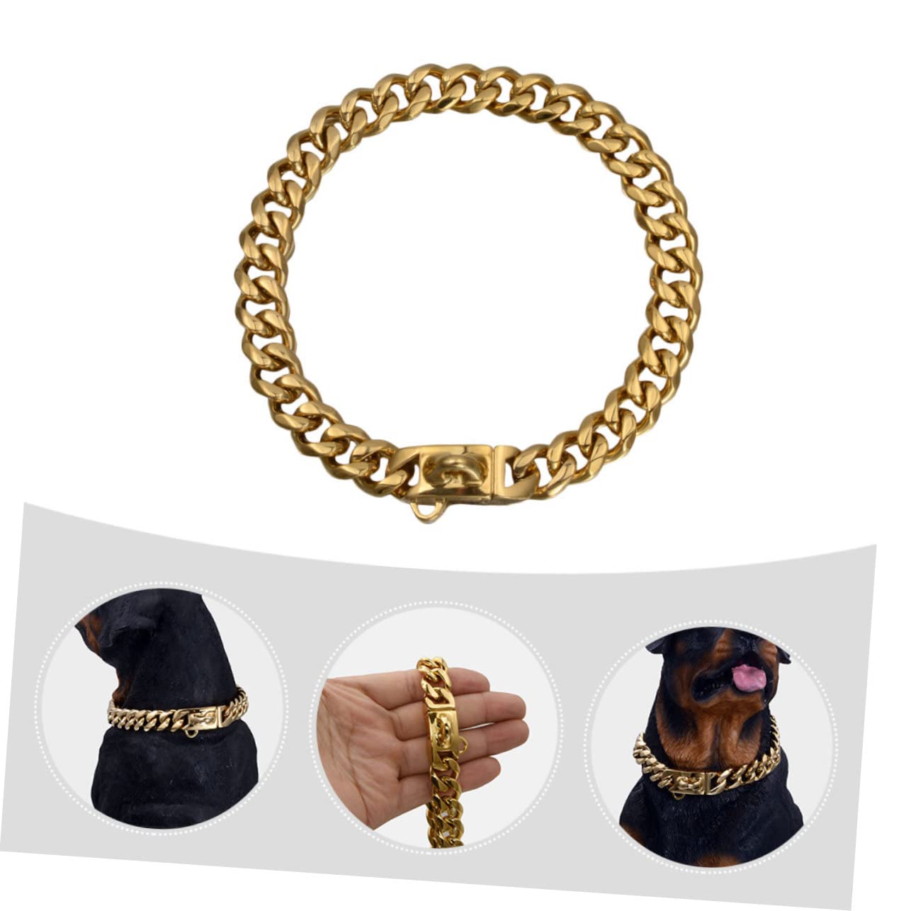 GALPADA Collier Chien Inoxydable Or Morsure Accessoire Délicat pour Animaux de Compagnie Collier Chiot Durable et Réutilisable