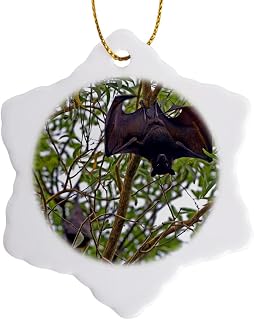 3 inch Snowflake Porcelain Ornament - Australia, No. Territory, Kakadu NP, Black Flying Fox-AU01 BFR0064 - Bernard Friel Foxes