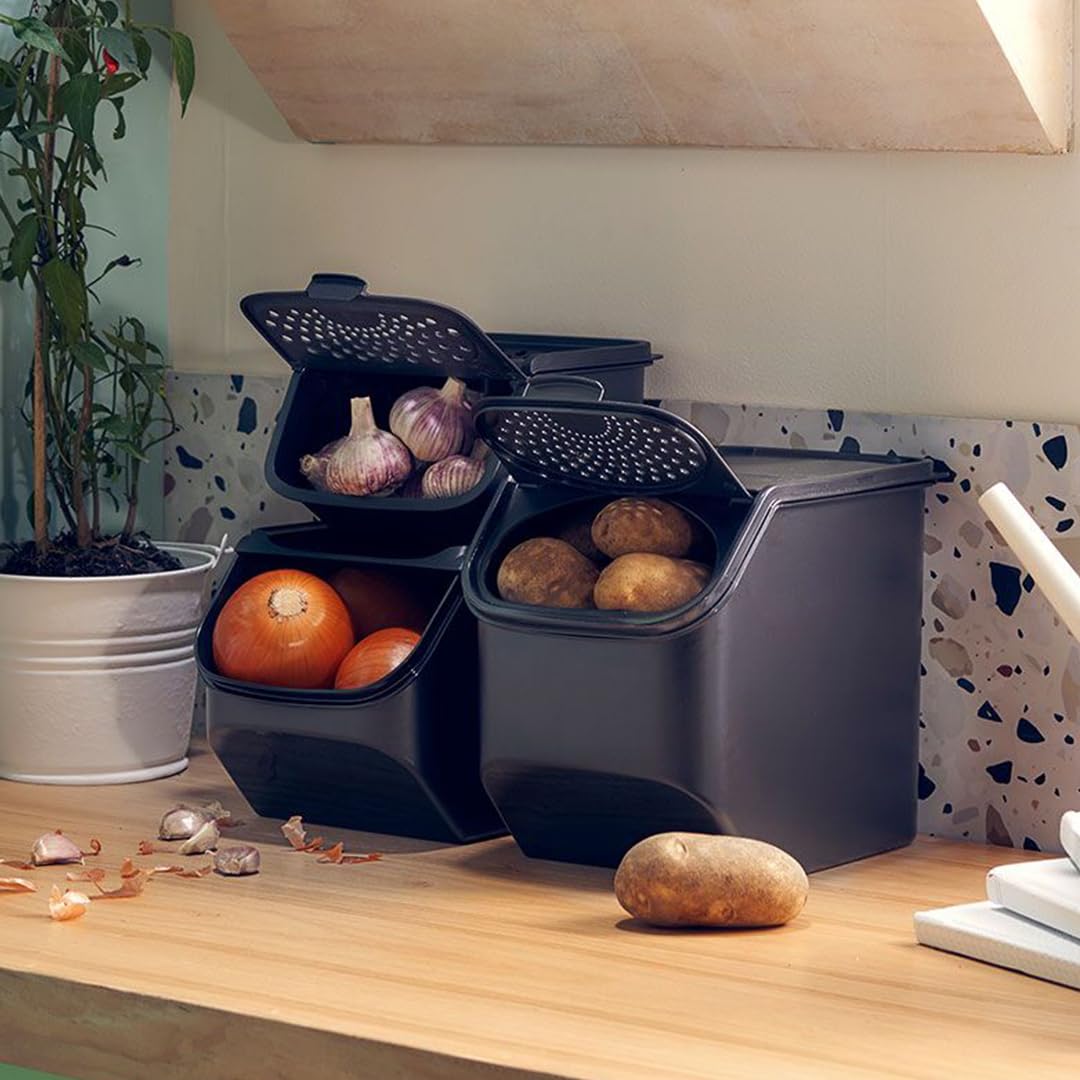 Tupperware GarlicSmart Frischhaltebehälter für Knoblauch - 2,3L Aufbewahrungsbox für Knoblauch - längere Haltbarkeit durch Luftzirkulation - Aufbewahrung Küche