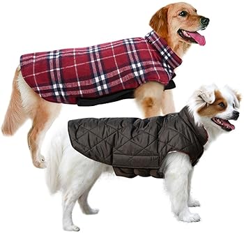 comfort coat for dogs