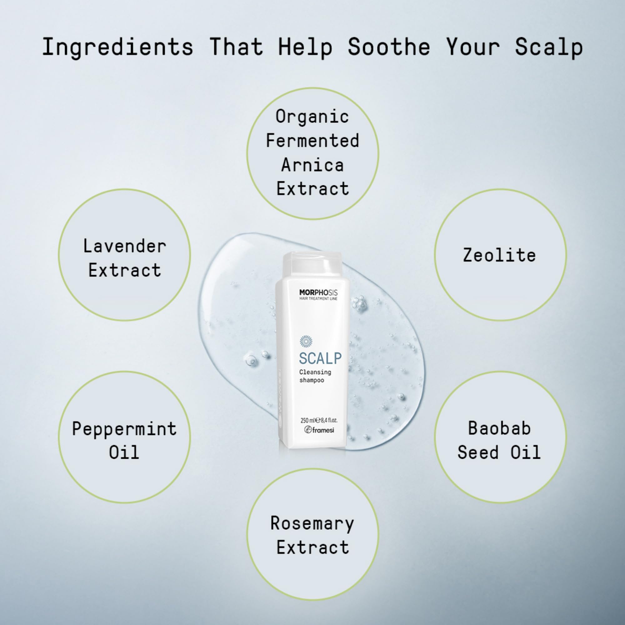 Framesi Morphosis Scalp Cleansing Shampoo, Cleanses Hair and Scalp, Clarifying, Removes Buildup, Natural Ingredients, Color Safe