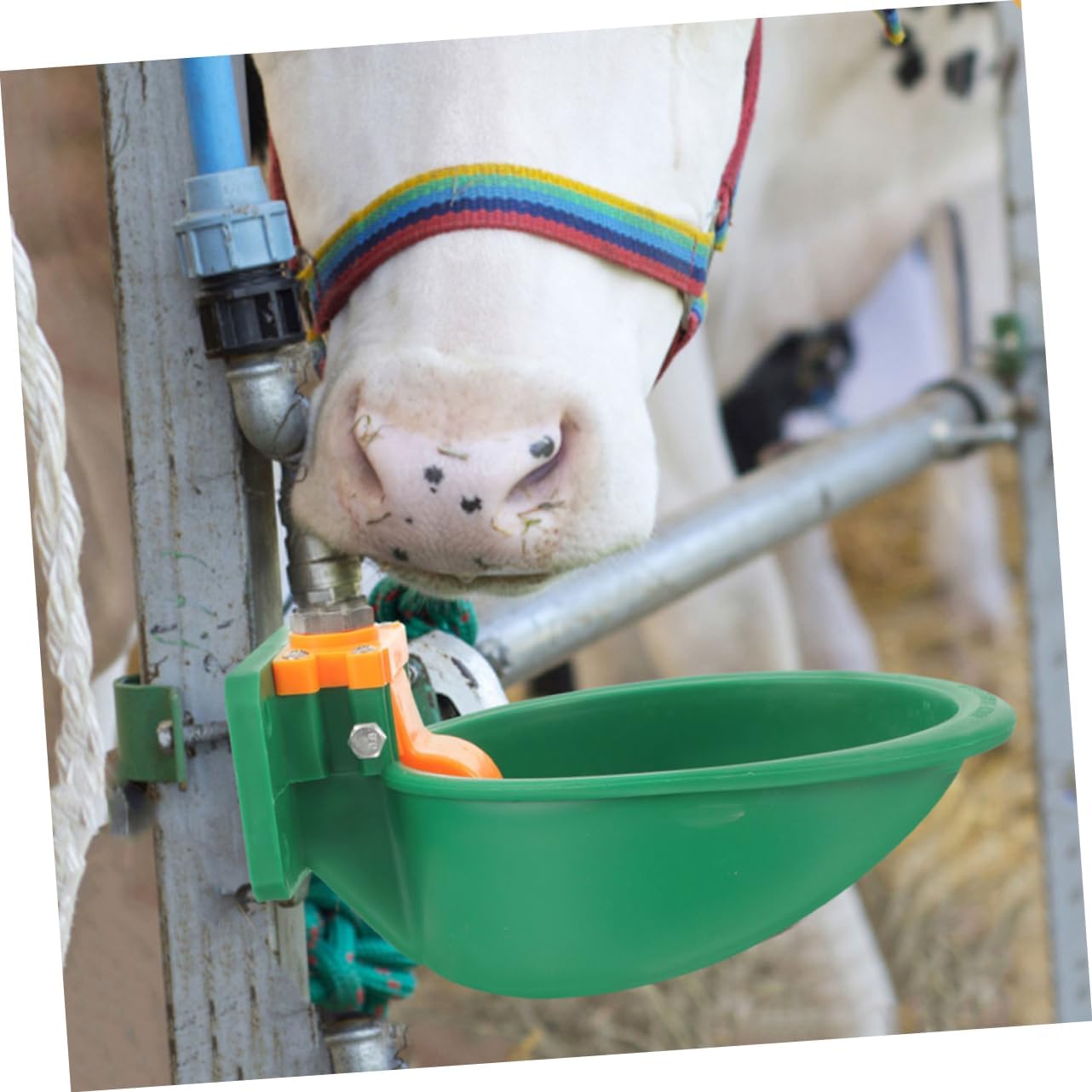 2pcs Sheep Waterer Automatic Drinking Water Bowl for Cows Sheep Weatherproof Plastic Livestock Water Dispenser