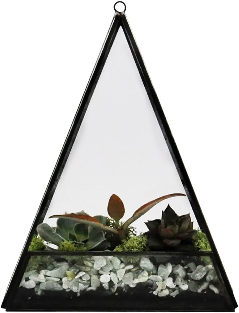 Handmade Glass Triangle Terrarium - 10" x 8"x 2.5" (Black Steel, Small)