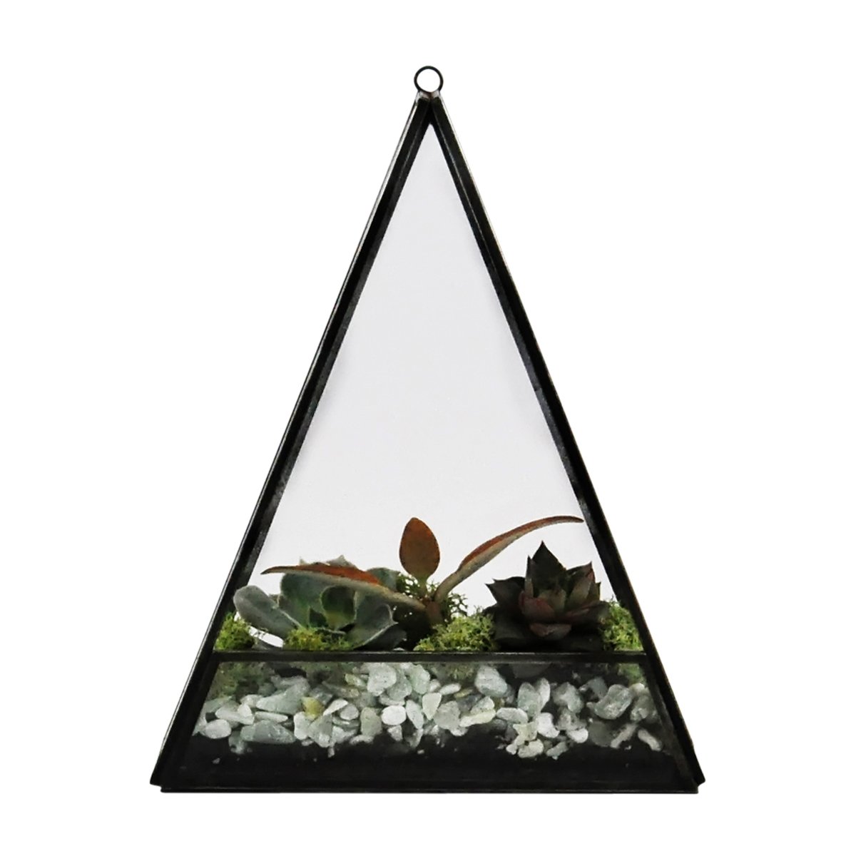 Handmade Glass Triangle Terrarium - 10" x 8"x 2.5" (Black Steel, Small)