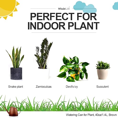 Miniatura 54 de WhaleLife Regadera interior para plantas de bonsái de casa (1.4L, verde)