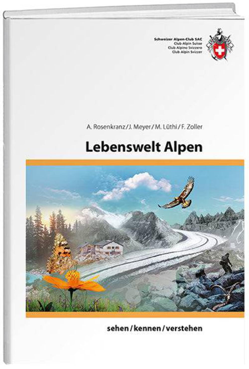 Lebenswelt Alpen: sehen/ kennen/ verstehen (Ausbildung)
