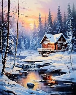 Possoco Winter Paint by Numbers Kit for Adults Beginner, Landscape Adult Paint by Number Kits on Canvas, DIY Acrylic Number Painting for Adults Teens for Home Decor Gift 16x20 Inch