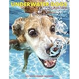 Underwater Dogs 2017 Engagement Calendar