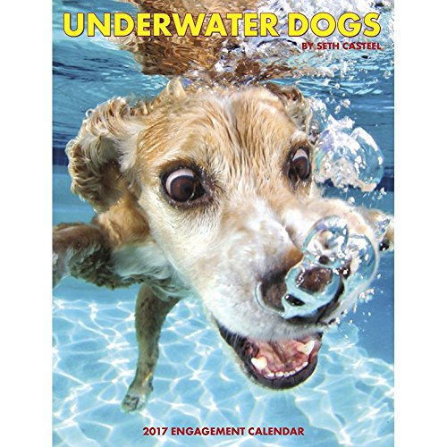 Underwater Dogs 2017 Engagement Calendar