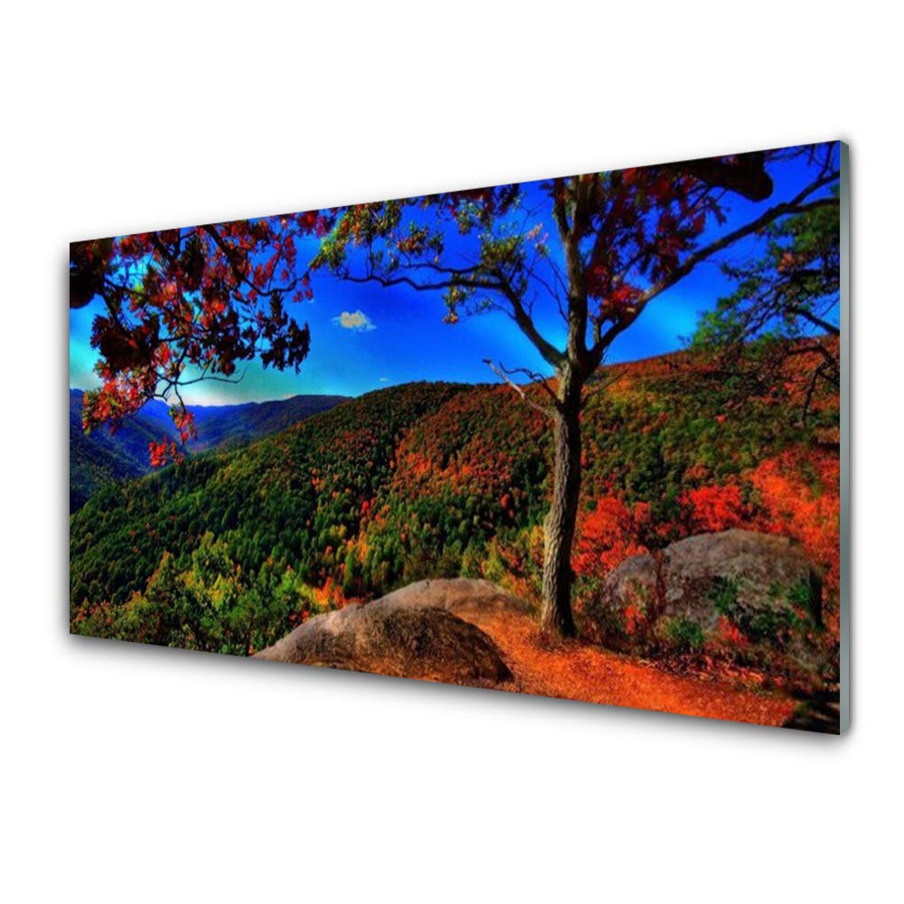 Tableau Décoration Déco Mural Moderne Design en Verre Lumineux Tulup 100x50