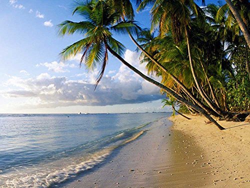 Sunset, Trinidad & Tobago -Oil Painting On Canvas Modern Wall Art Pictures For Home Decoration Wooden Framed (12X16 Inch, Framed)