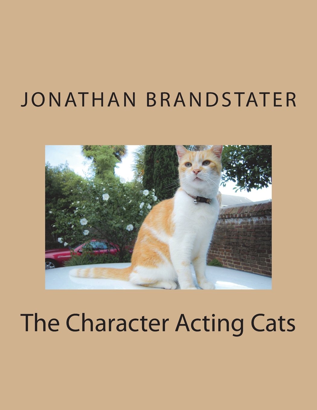 The Character Acting Cats Coloring Book: Second Edition