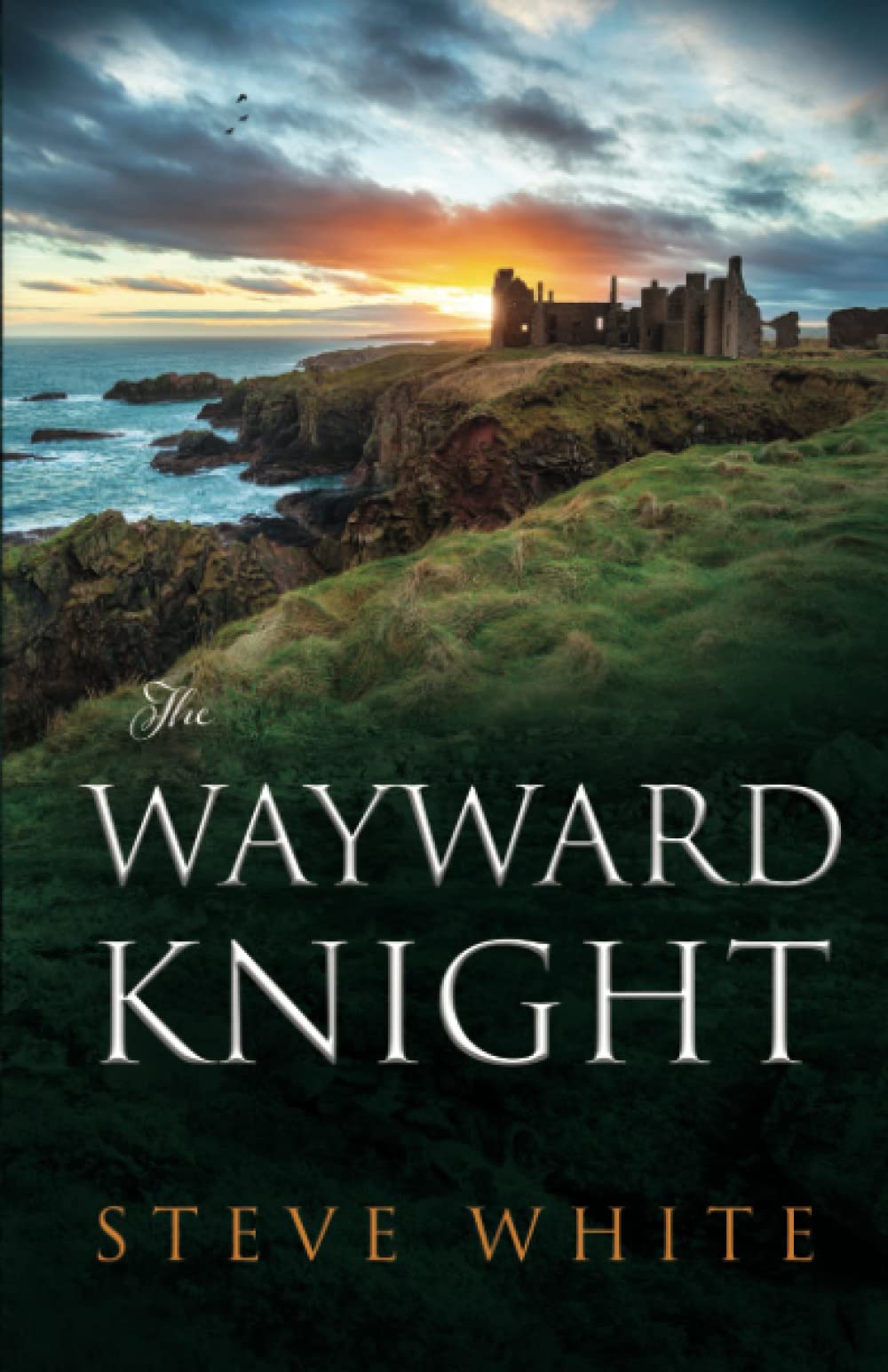 The Wayward Knight