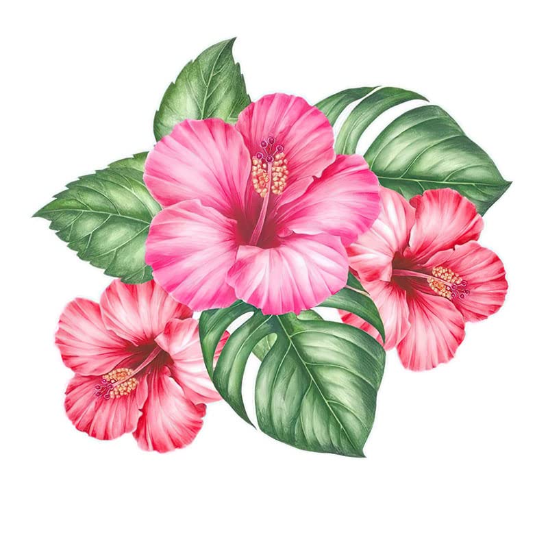 Autocollant Magnolia amovible 30cm pour un relooking de maison sans trace