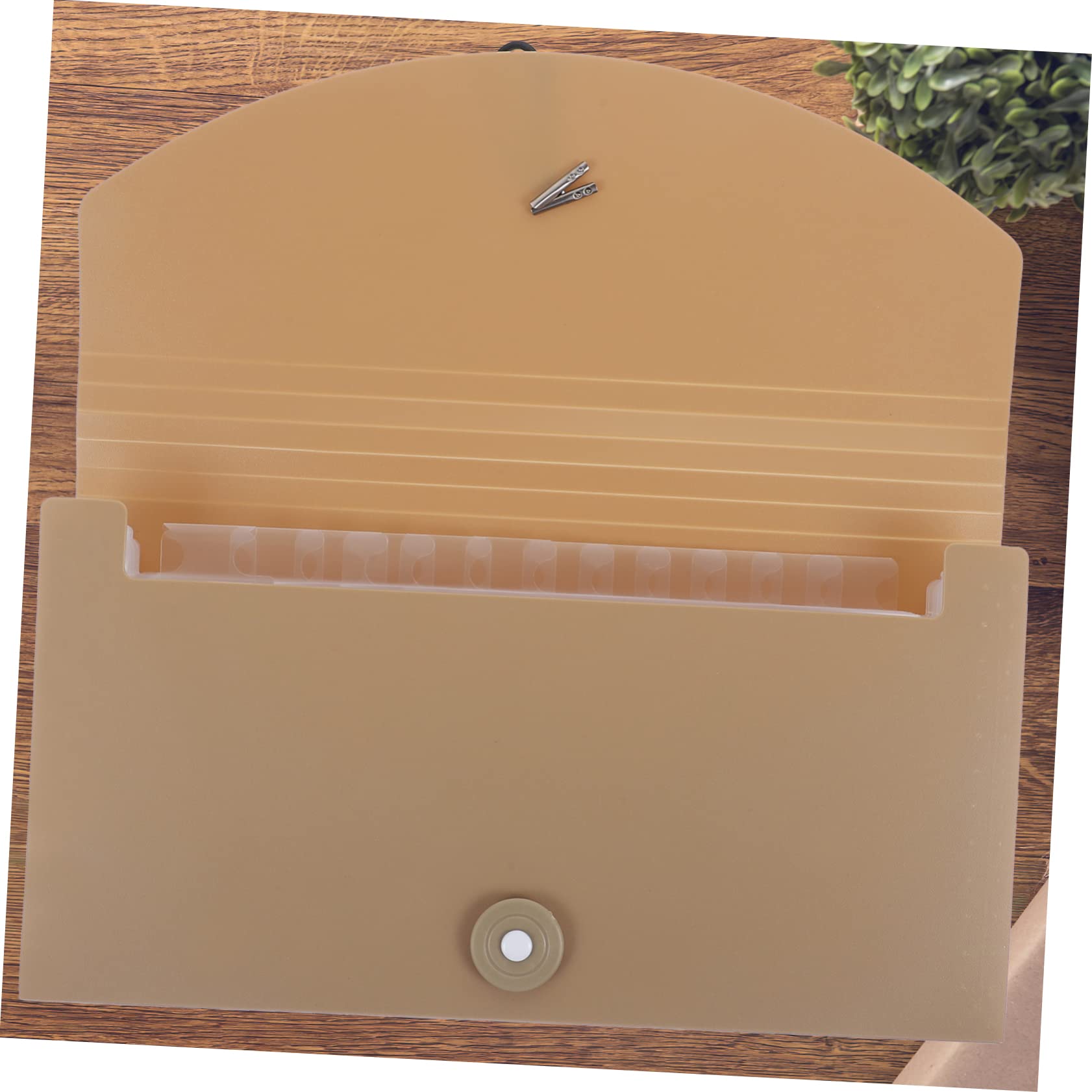 Ciieeo Cartella Portadocumenti Espandibile in Plastica Pp e Etichette Colorate Per Organizzare File e Resistente