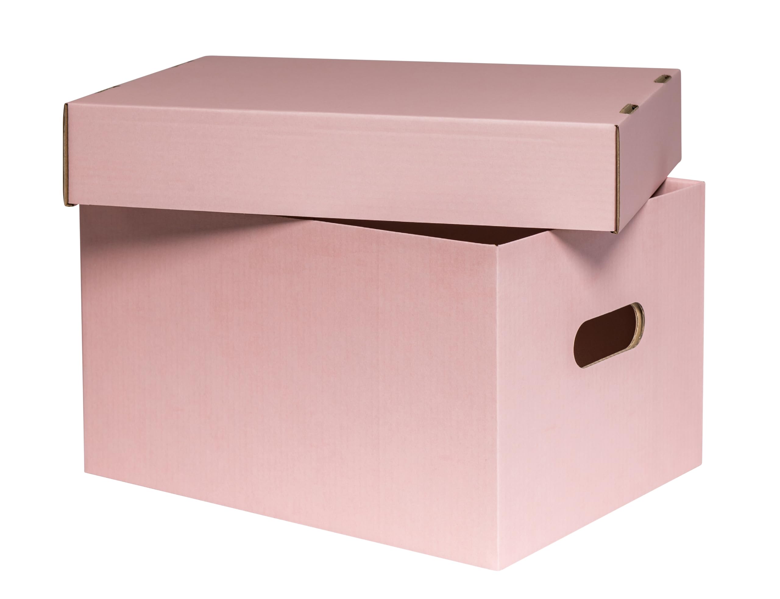 karton-billiger Scatola portaoggetti con coperchio, in cartone, 100% recyling, rosa, 2 misure (12, M - 34 x 25 x 20,5 cm)