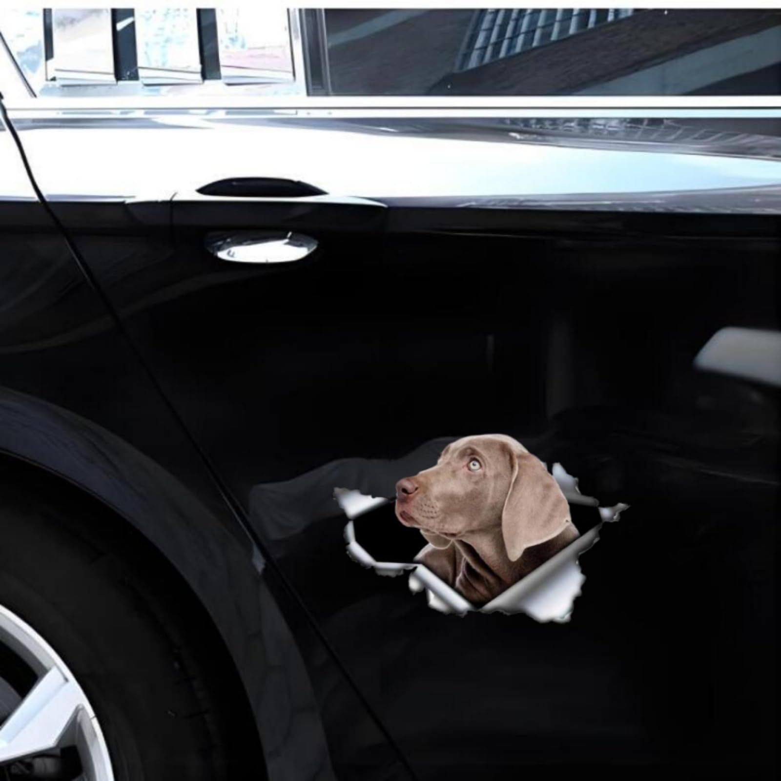 Pegatinas Reflectantes Para Coche Pegatina Reflectante De Se | Cuotas Sin Interés