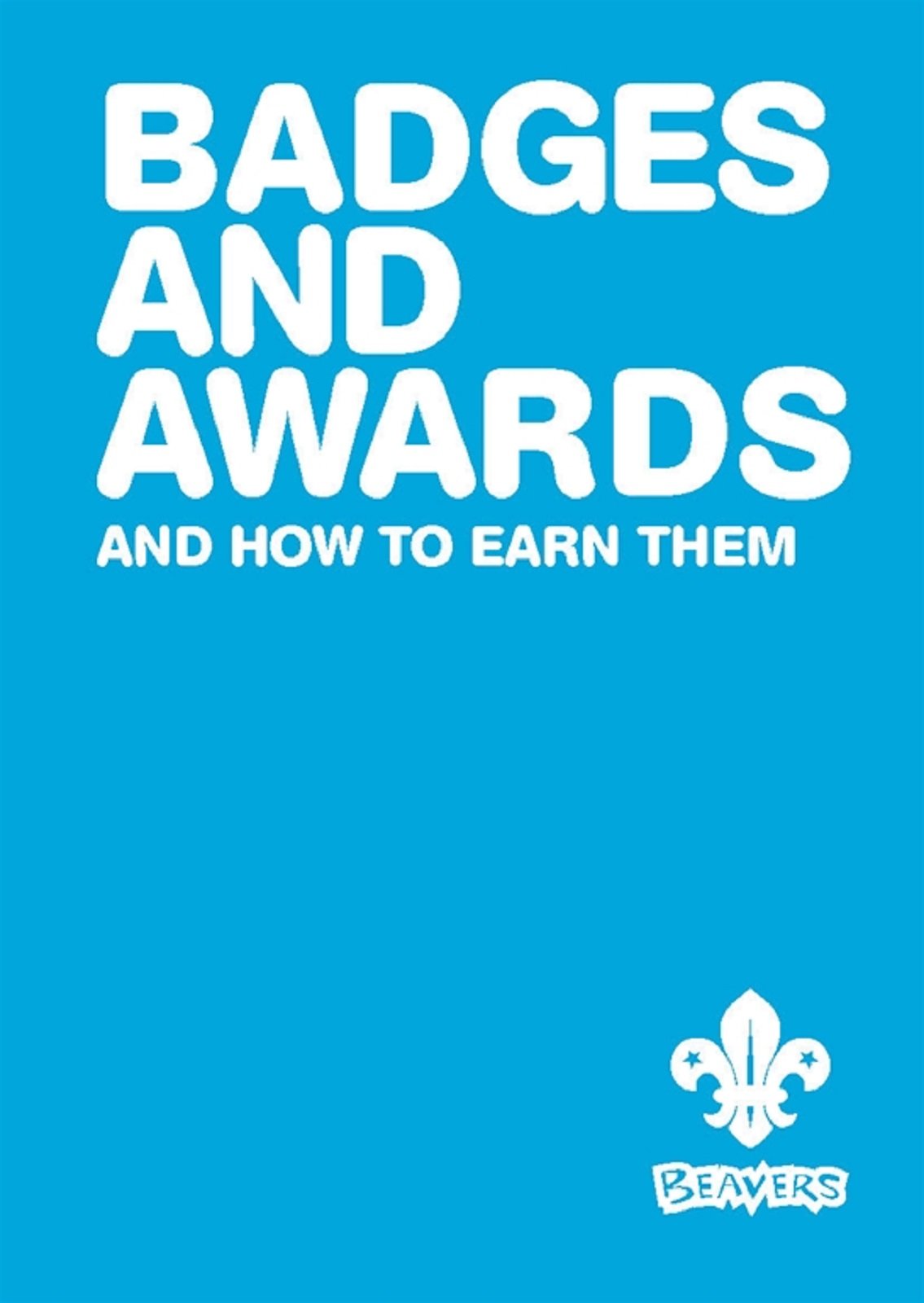 Beavers Badges and Awards Book