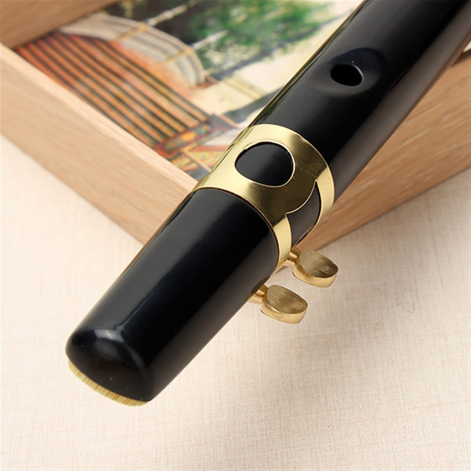 Pocket Sax Alto C Tune Mini Sax Saxofon Saxofon Sax Sax Ophone Negro con Bolsa de Transporte Instrumento de Viento Saxofón Profesional