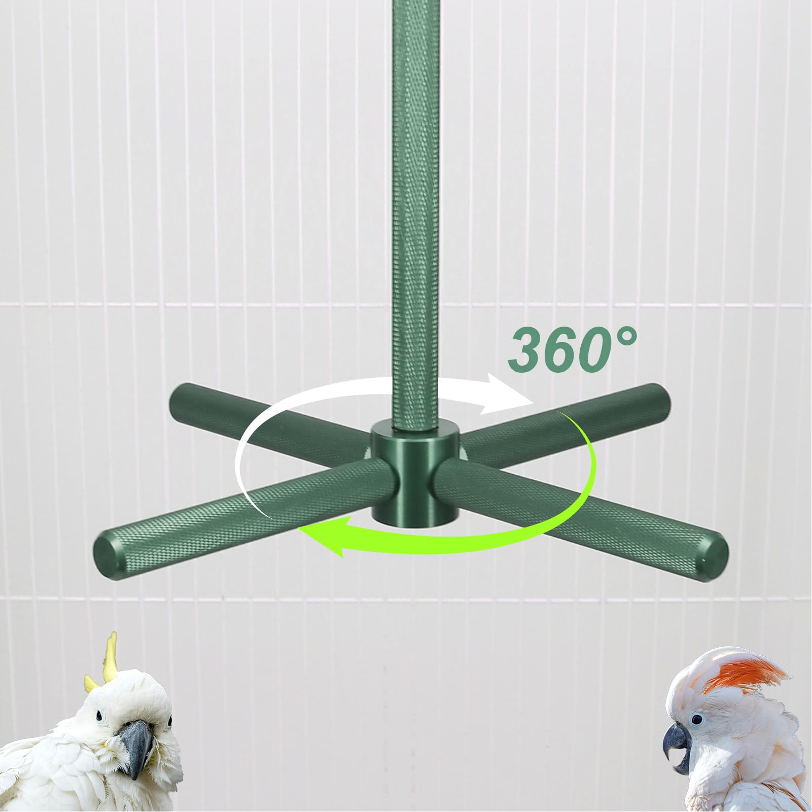 pour Perroquets Rotatif à Mâcher Interactif | Accessoires de Cage à Perchoir pour Perruches Pour Exercice Et Petit Moyen Grand Conure Inséparables Canari Cage