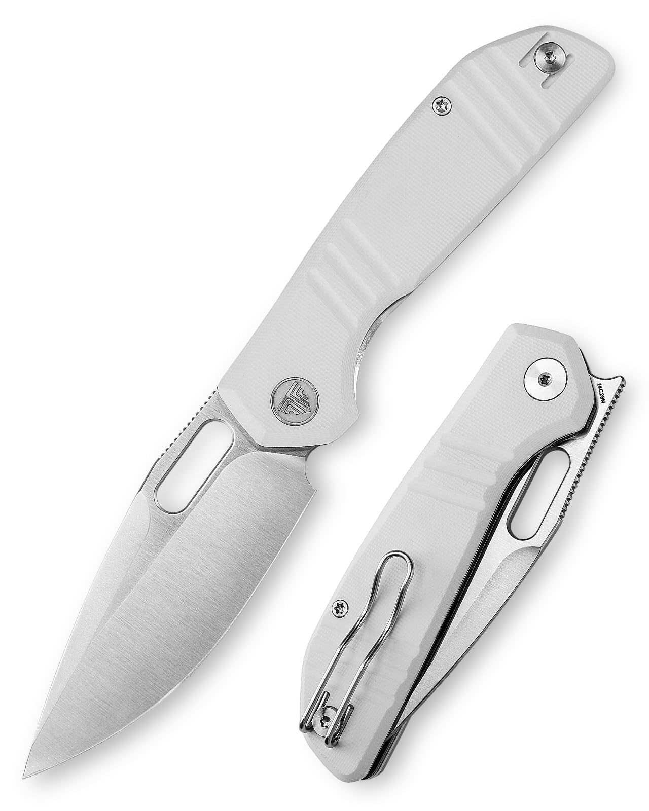 Amazon.com : TRIVISA Gecko Folding Pocket Knife, 3.4