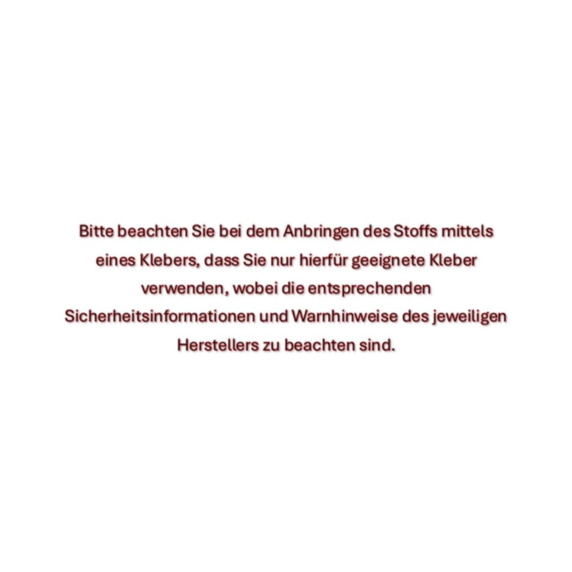 Autohimmelstoff Dachhimmel Stoff Gewirke - Himmel Zuschnitte aus Polyester mit Schaumstoff Kaschierung – PKW Innenraum Zubehör – Himmelstoff einfach verarbeitbar - FI LightGrey 1,7m x 3m