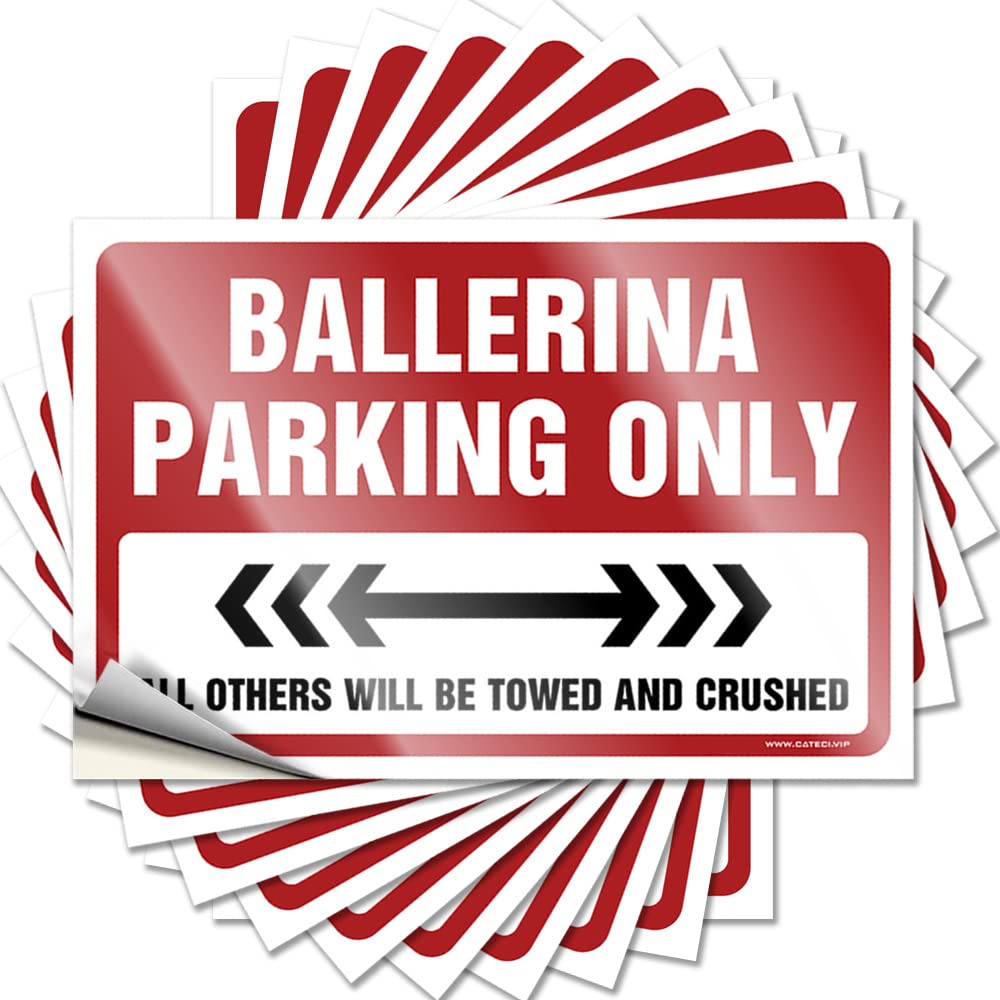 Fzfn Colour Tattoo Room Decoration | Vintage Water Ballerina Parking Only For Summer(6X9cm)
