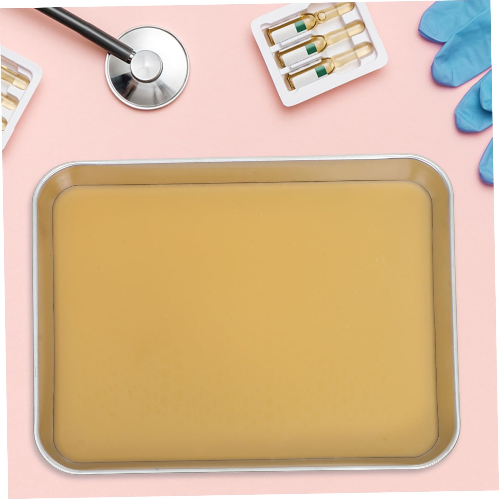 Cabilock Plateau De Dissection Métallique Pour Laboratoire Plateau Avec Cire Outil De Laboratoire De Dissection Métal