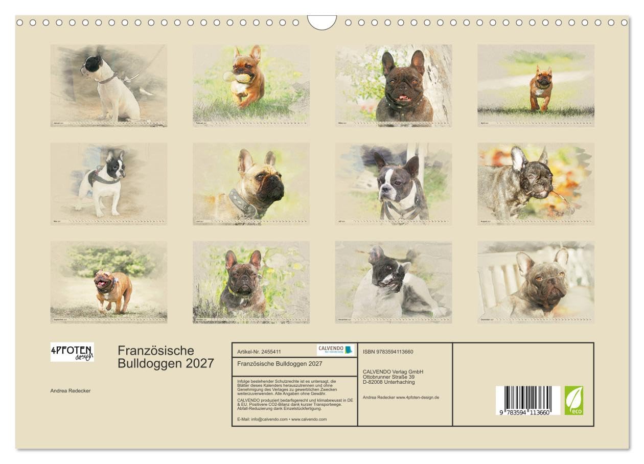 CALVENDO - Französische Bulldoggen 2027 (Wandkalender 2027 DIN A3 quer), Monatskalender: Französische Bulldoggen im kunstvollen Aquarell-Stil. Wer außergewöhnliche Bilder liebt, wird in diesem Kalende