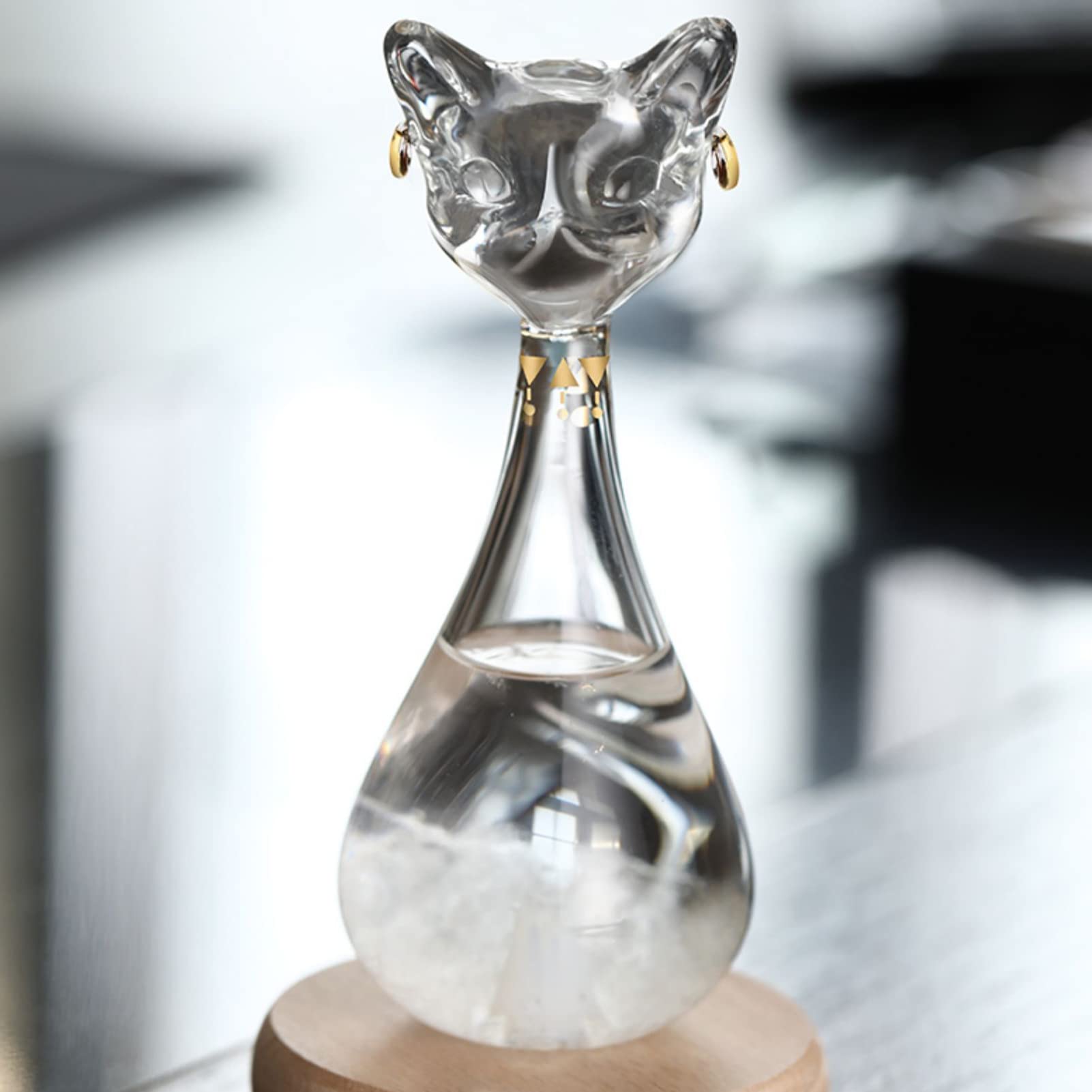 Stazione meteo tempesta, bottiglia previsioni meteo a forma di gatto, meteo barometro in vetro con base in legno, vetro tempesta, regalo originale per compleanni da donna (gatto nero)