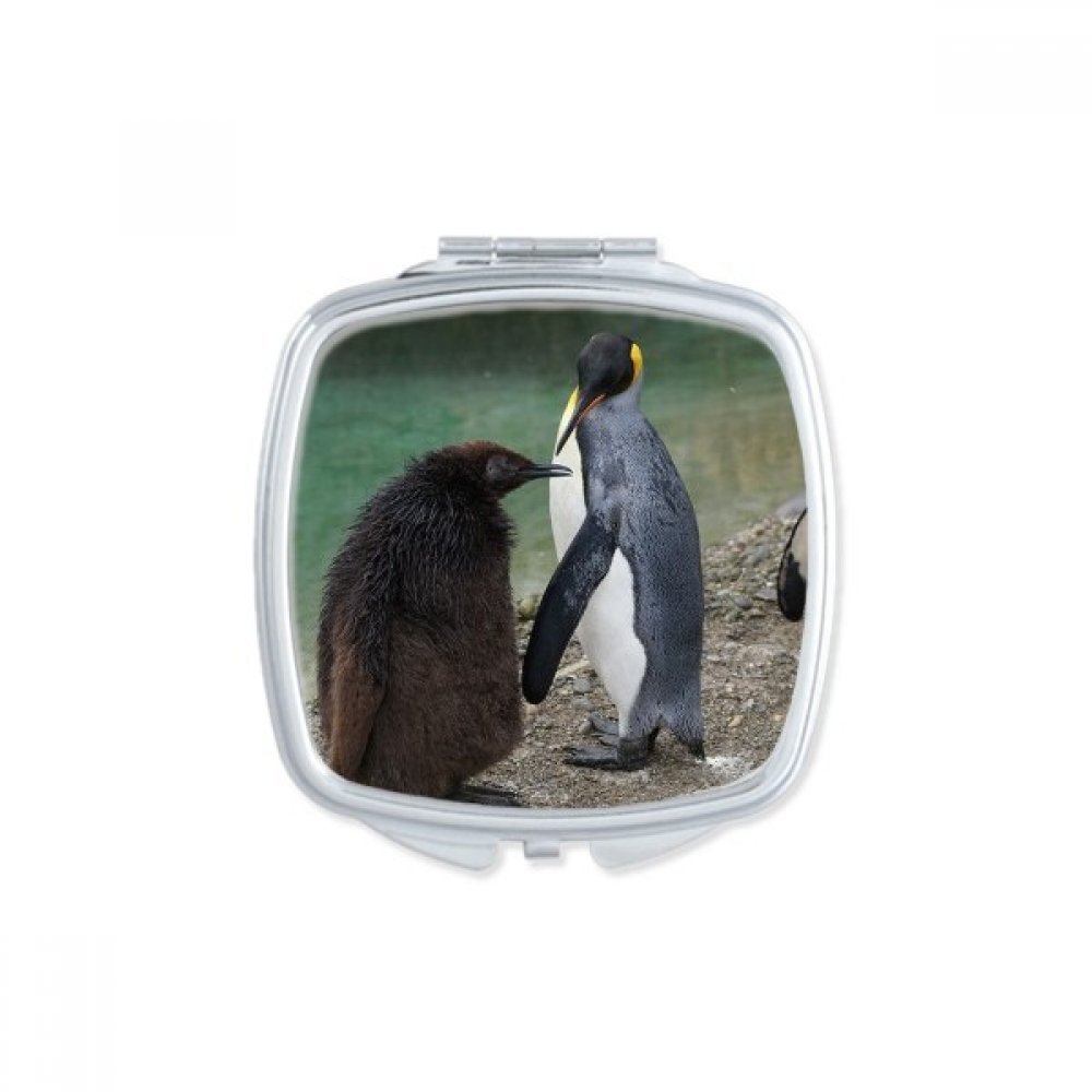 Miroir de poche pingouin antarctique carré mignon pour maquillage
