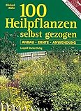 100 Heilpflanzen: Selbst gezogen. Anbau - Ernte - Anwendung