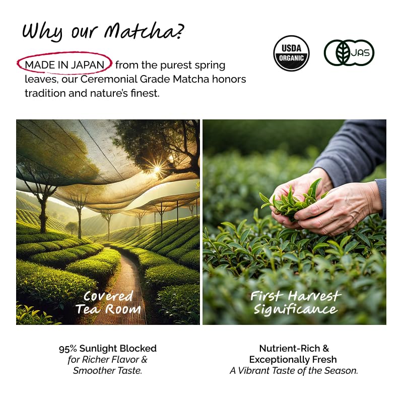 Image of ILEM JAPAN Japanese Matcha Green Tea Powder 25g | First Harvest from Kagoshima | Premium Ceremonial Grade Organic Matcha Umami Taste | Antioxidants, Enhanced Metabolism Weight Management & Detox | Pure, Authentic Green Tea