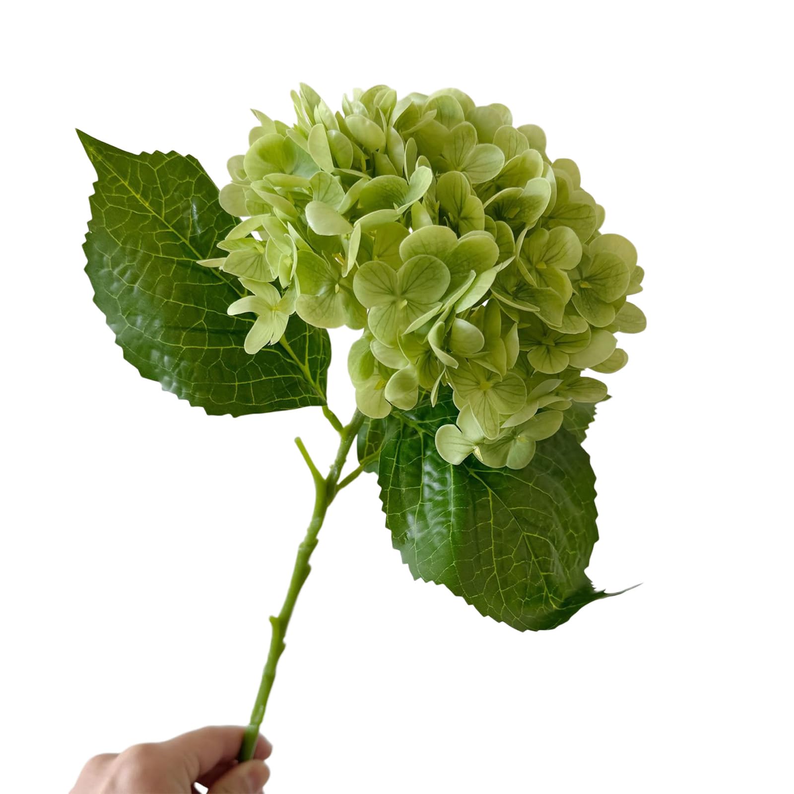 ZBIianxer Realistic Simulation Silk Hortensia Flower Fade Resistant Artificial Flower for Wedding Tabletop Centerpieces Simple Faux