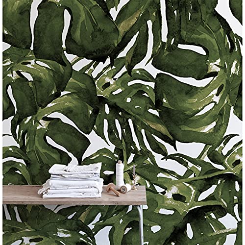 Papier peint monstera leaf nature muralo latex pour deco meuble 250x104 - 2