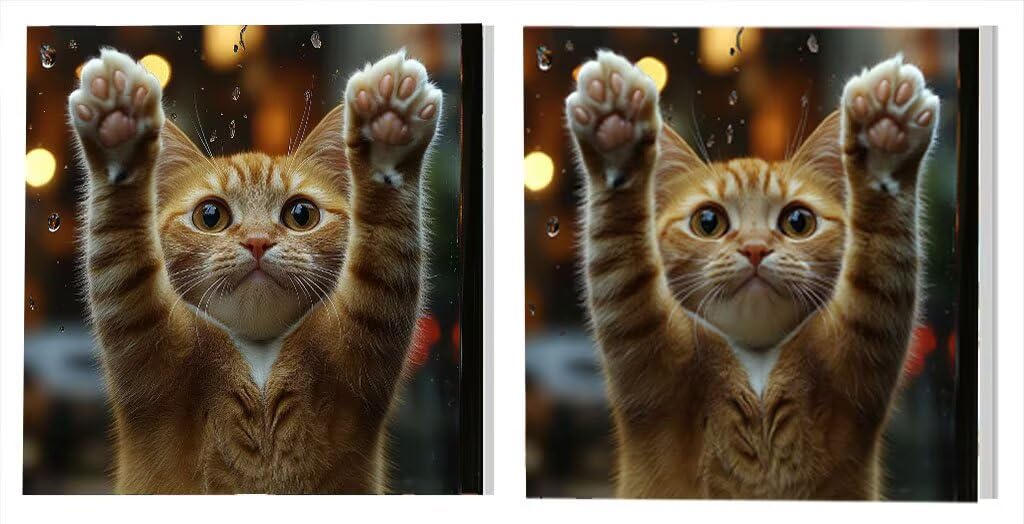 2 Stück Malen Nach Zahlen Set, Katze Regentag, DIY Anfänger Ölgemälde Kit, (Borderless) Pinsels und Acrylfarbe, Für Kinder und Erwachsene, Als Geschenk und Wanddekoration, 100x100cm L2DY-797