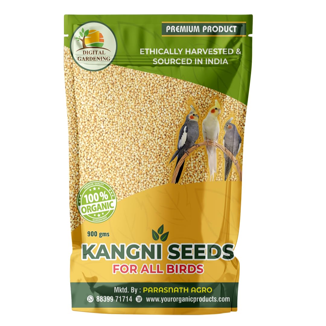 Digital Gardening Foxtail Millet (Kangni), Bird Food for High-Fiber Balanced Nutritious Daily Diet for All Bird Types. for All Life Stages Lovebirds,Parrots & Parakeets (900 gm) (B0D9YXNGKR) Amazon Price History, Amazon Price Tracker