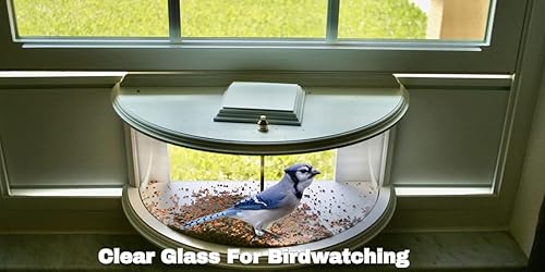 Miniatura 9 de El comedero para pájaros de ventana EMAISTORE con césped artificial y bebedero - Accesorio con vista de 180 desde el interior de tu hogar - está