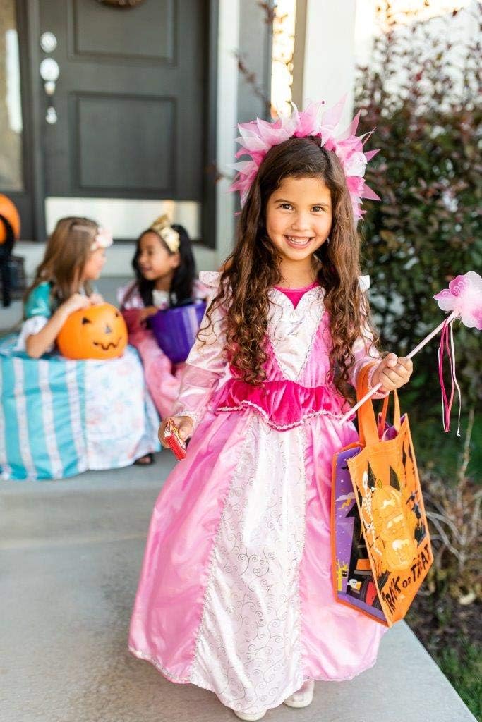 Little Adventures Sleeping Beauty Princess Dress Up Costume