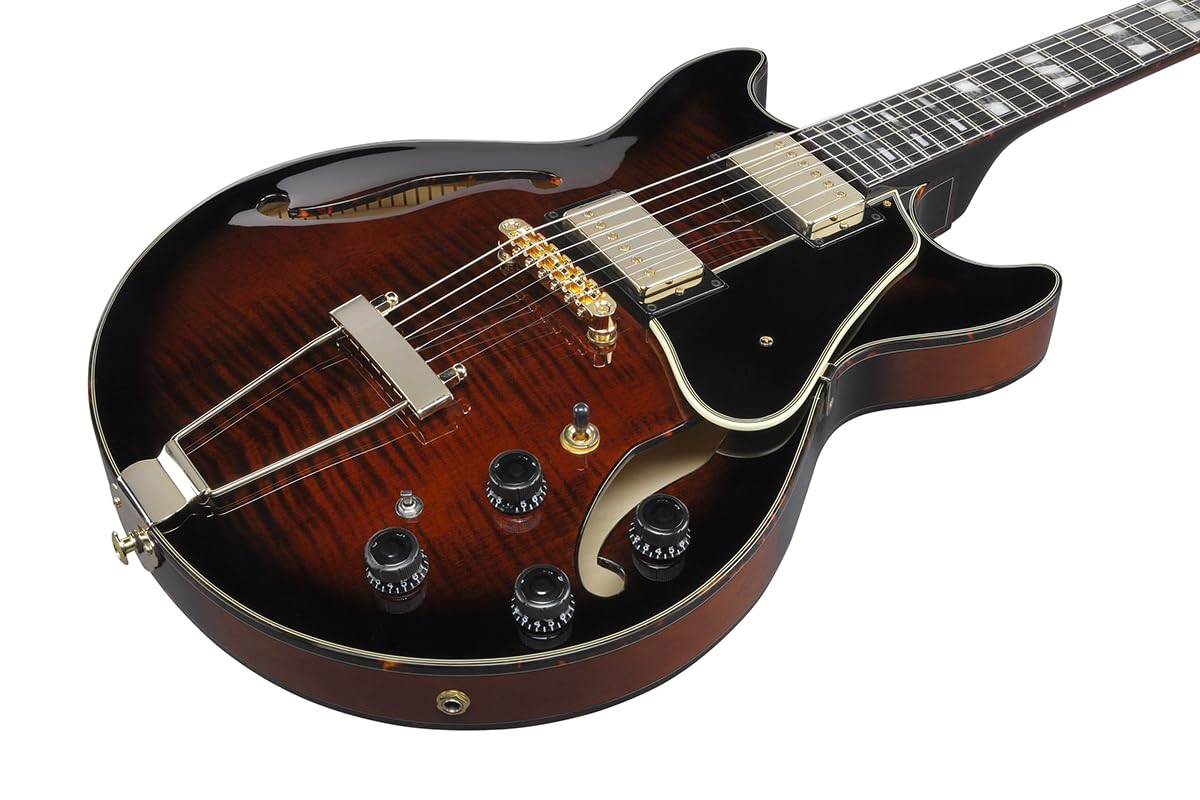 Amazon | Ibanez/ARTSTAR Series AMH100FM-DVS (Dark Violin Sunburst