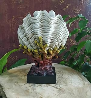 29 Cm 12 inches Coral Vase Statue Home Decor, Sea Shell Clam Vase Statue, Mussell Shell, Unique Vase, Ceramic Vase, Sea Theme, Coral Decor, Aesthetic Desk Decor, Mid Century Modern Home Room, Shelf Decor, Library Decor, Gift For Mother, Gift For Her, Housewarming Gift, Aesthetic Desk Decor
