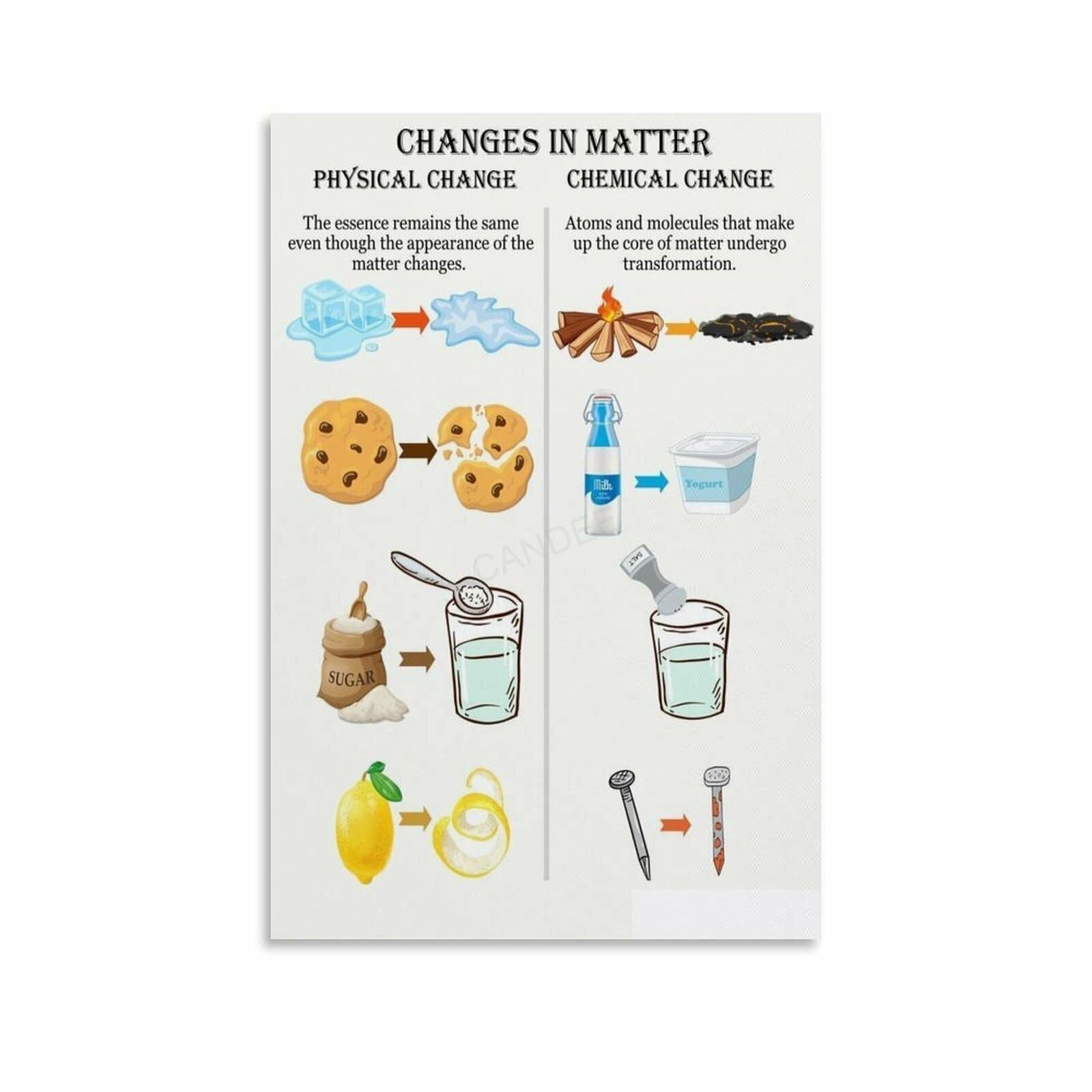 HGETJOHXEM Science Study Guide Poster - Chemical vs Physical Changes Diagram, Homework Help for Students, School and Home Office Decor​(Framed,16x24inch(40x60cm))