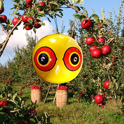 Globo Scare Eye Bird-X amarillo para evitar daños de aves en balcones 8