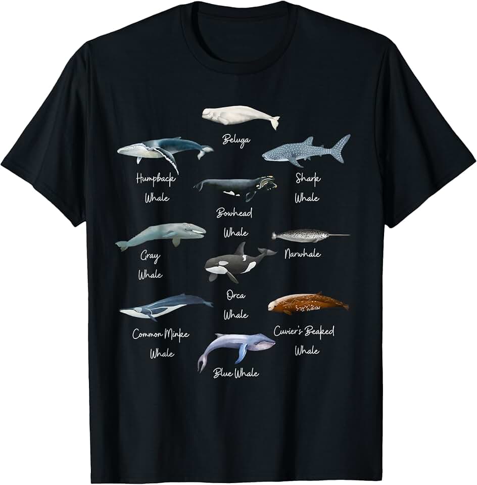 Types Of Whales Identification- Educational Whales Types of Whales Watercollor Cute Ocean Mammals Guide T-Shirt OEKO-TEX STANDARD 100