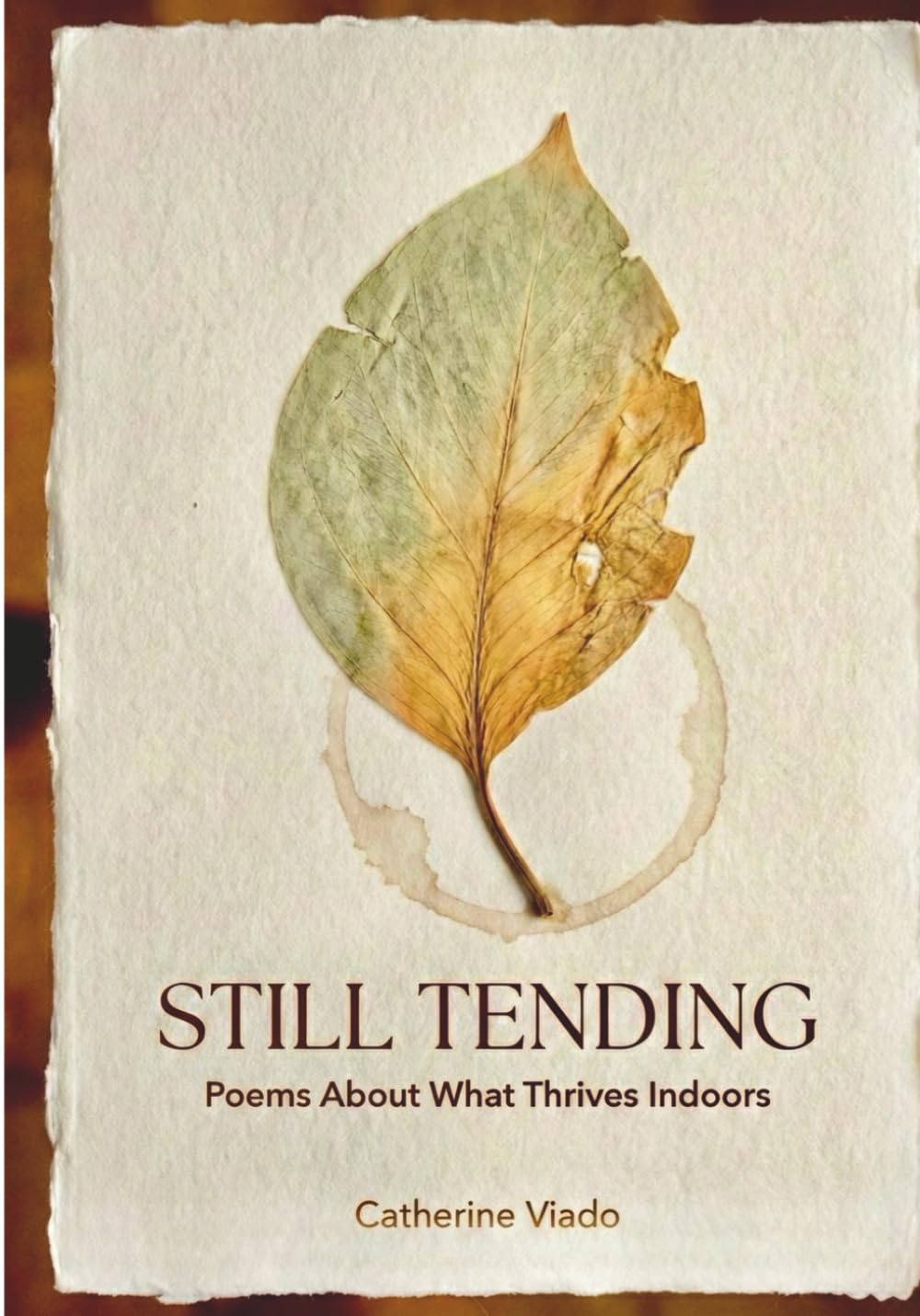 Still Tending: Poems About What Thrives Indoors