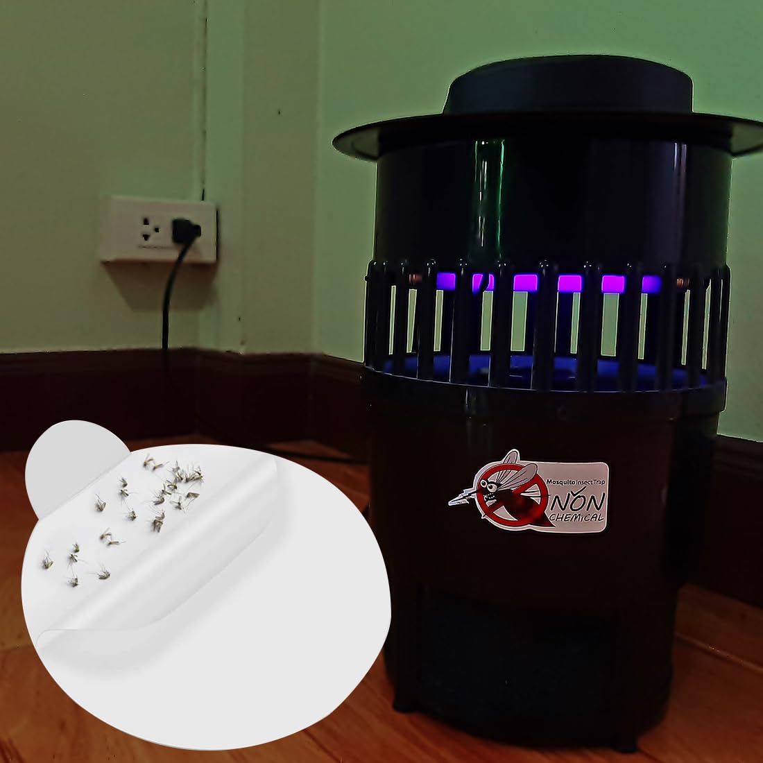 Trampa para pulgas rellenable, pegatinas desechables para pulgas, 30 unidades, adhesivo para pulgas, trampas adhesivas para mascotas