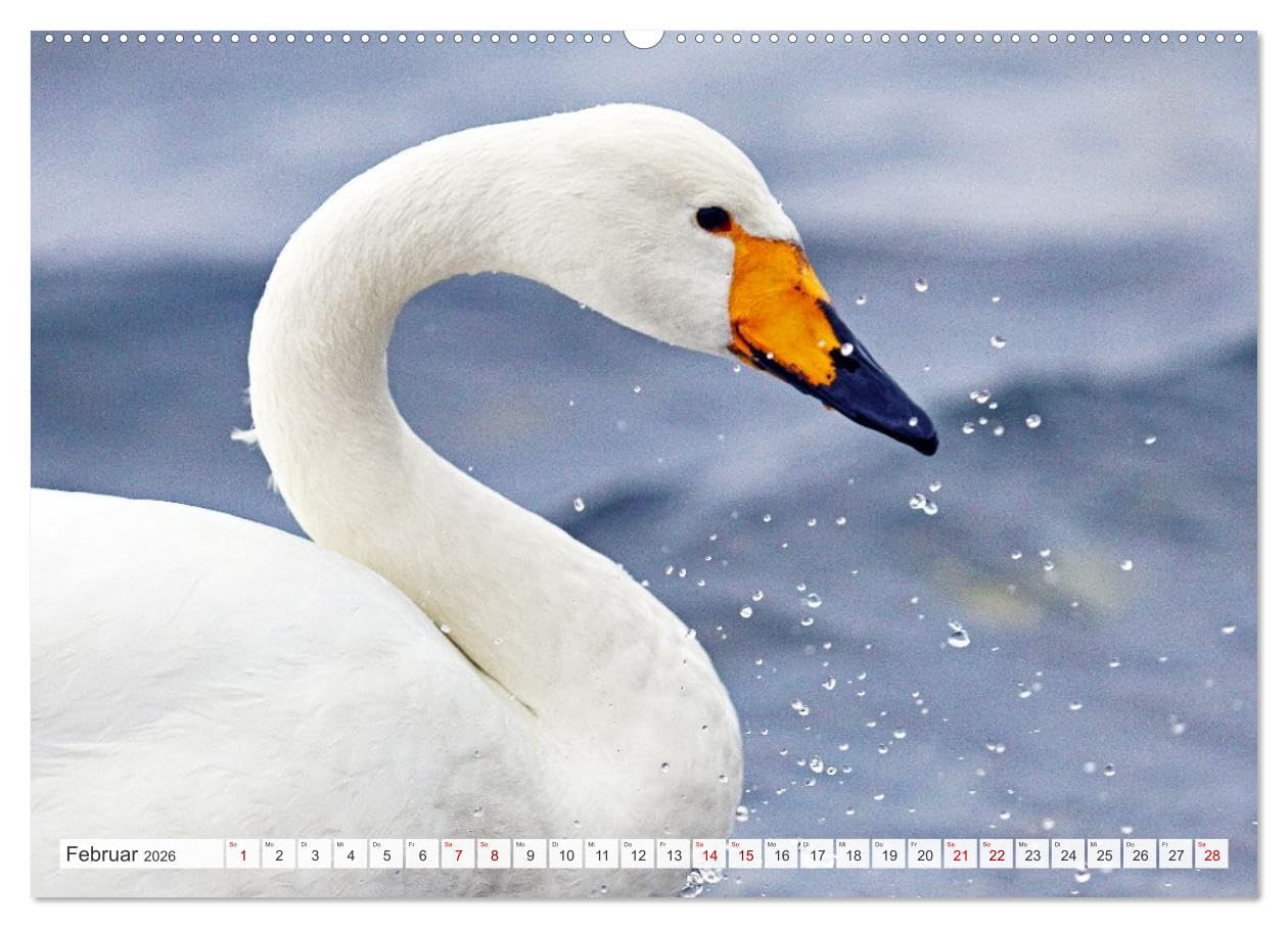 Wildes Japan - Hokkaido im Winter (hochwertiger Premium Wandkalender 2026 DIN A2 quer), Kunstdruck in Hochglanz: Hokkaido im hohen Norden Japans ist im Winter ein weißes Wunderland.