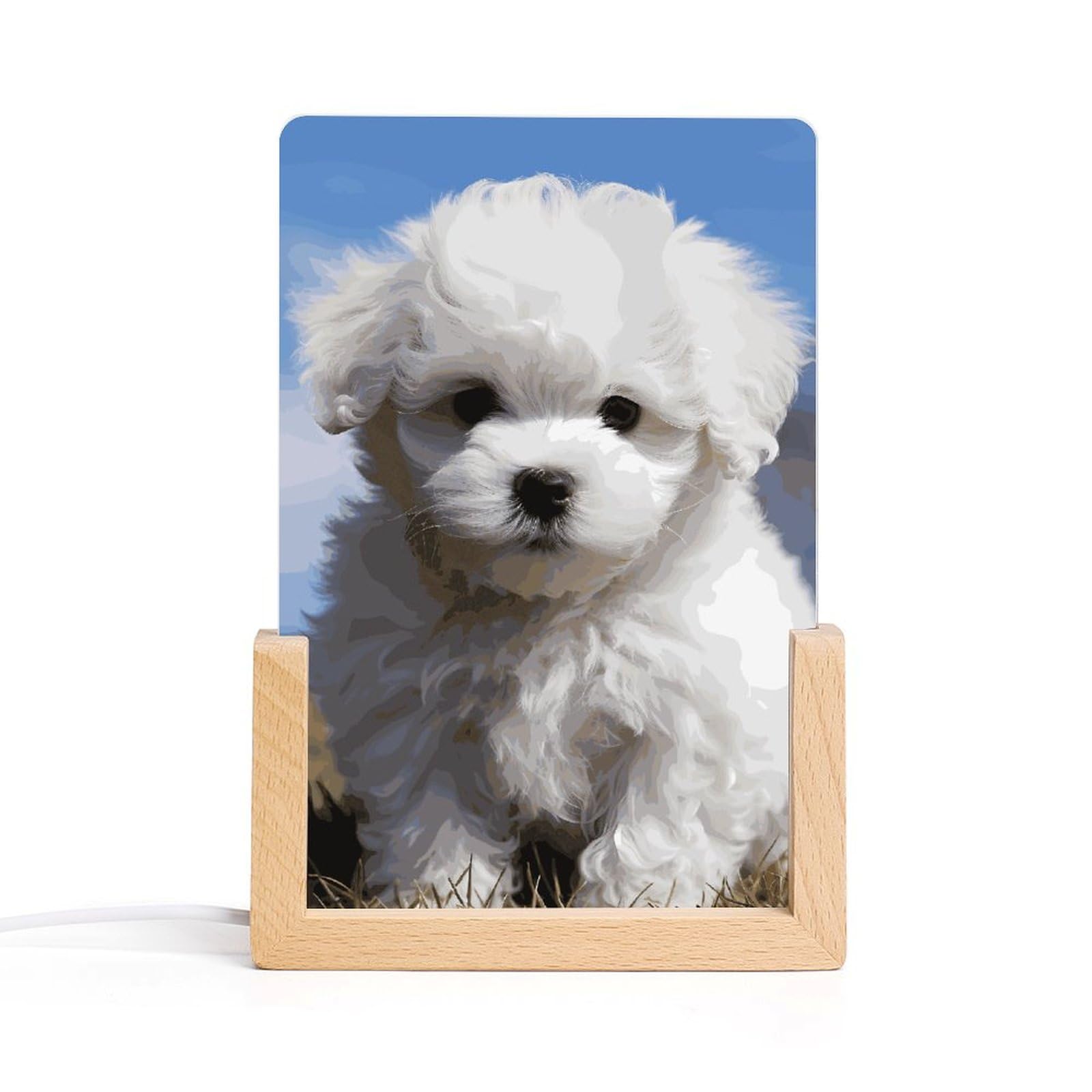 JTREHY Acrylic Night Light,Bichon Frise Dog Printed Wooden Base LED Night Light Modern Home Decoration Light with USB Switch Cable for Bar Cafe Bedroom Room Decoration